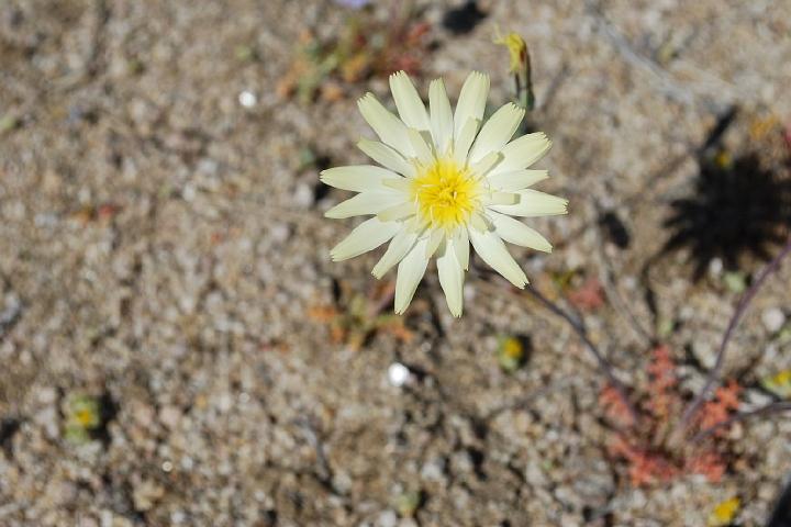 Death Valley