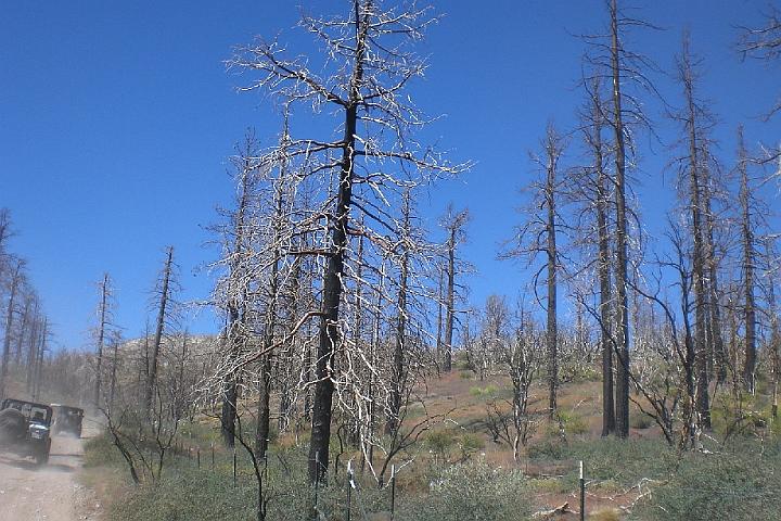 Big Bear 8-21-10 278