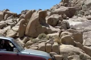 IMG 0689